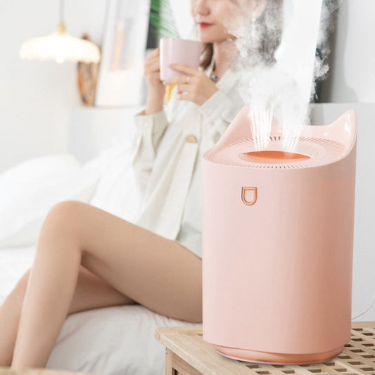 Humidifier Home 3L Air Ultrasonic Essential Oil Aroma Diffuser Double Axcestories